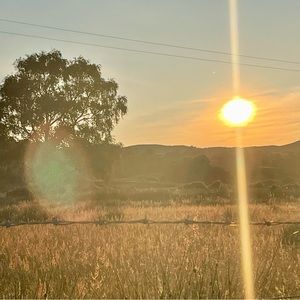 Meet your Posher, Naomi